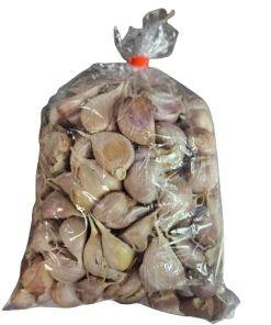 Garlic